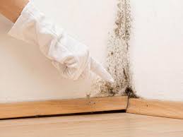 Best Residential Mold Inspection & Testing  in Havana, IL